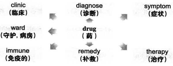 20196´W(xu)ӢZ~RDӛdrug