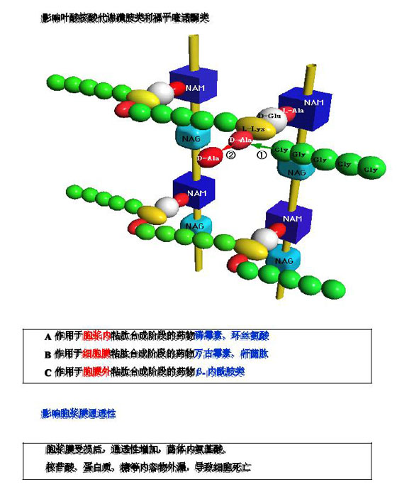 2010(zh)I(y)ˎԇˎW(xu)(zhun)I(y)֪R(sh)(һ)(f)(x)Ҫc(din)(32)