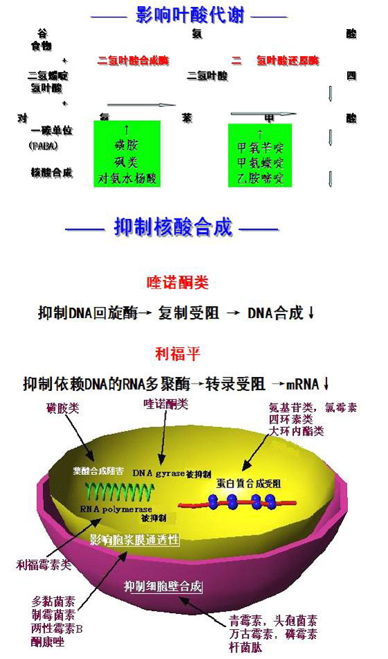 2010(zh)I(y)ˎԇˎW(xu)I(y)֪R(һ)(f)(x)Ҫc(din)(32)