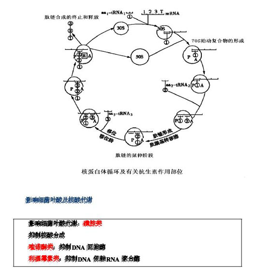 2010(zh)I(y)ˎԇˎW(xu)I(y)֪R(һ)(f)(x)Ҫc(32)