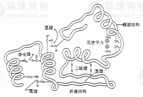 2011(zh)I(y)ˎˎWI(y)ժҪ18(1)