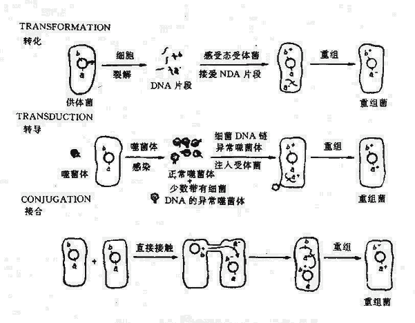 (x)gĻD(zhun)D(zhun)D(zhun)(do)Ӻ