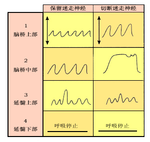 2014(j)o(h)W(xu)o(do)И(jng)ϵy(tng){(dio)ؙC(j)