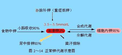 2018l(wi)YˎA(ch)֪Ro(do)(19)