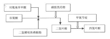 2019(zh)I(y)ˎˎﻯW(xu)(f)֪Rc(1)