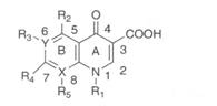 2019(zh)I(y)ˎˎﻯW(xu)(f)(x)֪Rc(5)