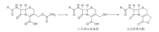 2019(zh)I(y)ˎˎﻯW(xu)(f)(x)֪Rc(12)