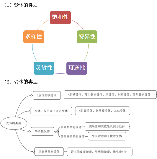 2019(zh)I(y)ˎˎW(xu)I(y)֪R(sh)һ֪R(sh)c(din)(5)