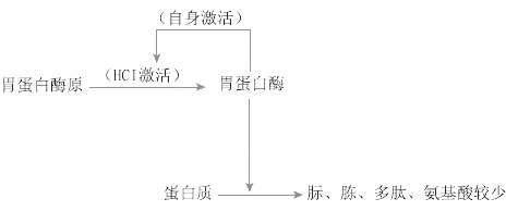 2019R(zh)I(y)t(y)W(xu)c(din)ӛ(3)