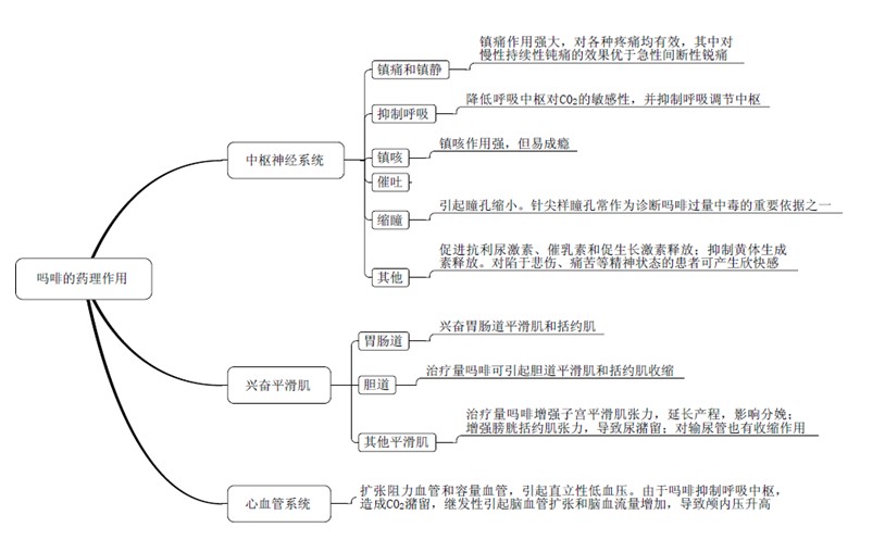 2019ˎW(xu)Qԇ(zhun)I(y)֪R(sh)Ҫc(din)R