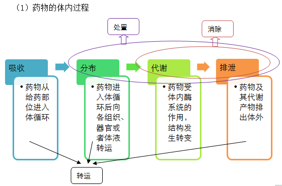 2019(zh)I(y)ˎˎW(xu)(zhun)I(y)֪R(sh)һ֪R(sh)c(din)(21)