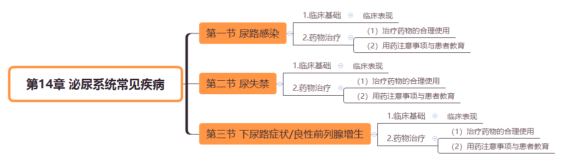 2019(zh)I(y)ˎˎW(xu)C֪R(sh)˼S(do)D(14)