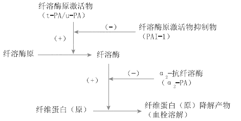 2021R(zh)I(y)t(y)ԇW(xu)(f)֪Rc(6)