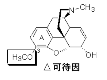 2021(zh)I(y)ˎˎһc(zhn)ˎYc