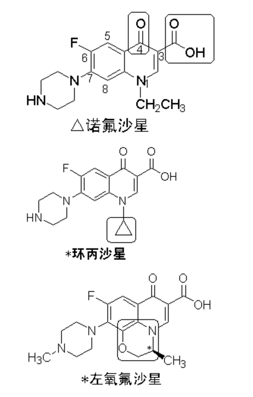 2021(zh)I(y)ˎˎһcϳɿˎĽY(ji)(gu)c