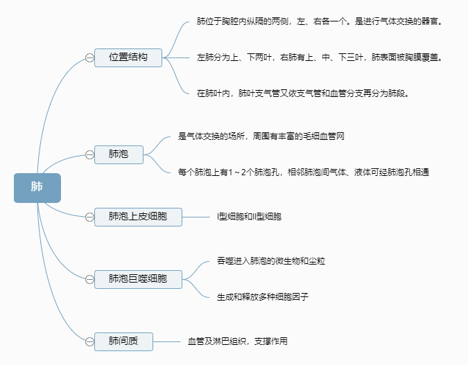 2022o(h)俼֪R(sh)c(din)εĘ(gu)