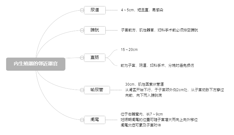 2022o(h)俼֪R(sh)c(din)(ni)ֳ