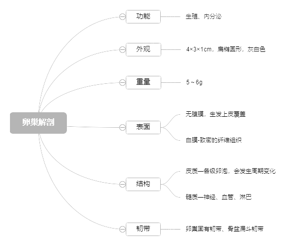 2022o(h)俼֪R(sh)c(din)ѳ