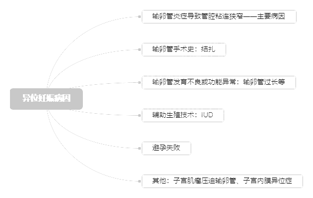 2022o(h)俼֪Rcλﲡ