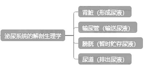 2024(j)o(h)ԇ俼֪R(sh)c(din)ϵy(tng)ĽW(xu)