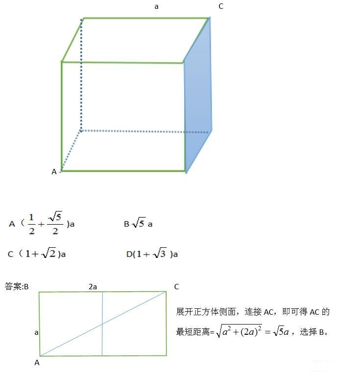 2019°ĴʡМy俼w׺ε̾x